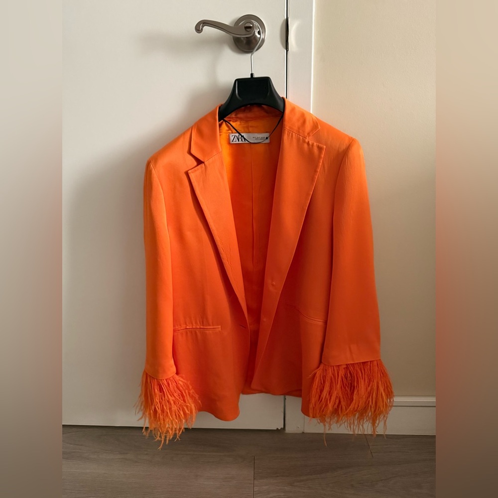 Zara blazer with feather sleeves